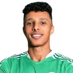 أهميد أبديل نابي