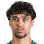 أايوب شيخون